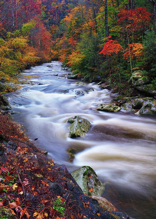 Great Smoky Mountains National Park Greeting Card featuring the photograph A River Runs Through Autumn by Greg Norrell