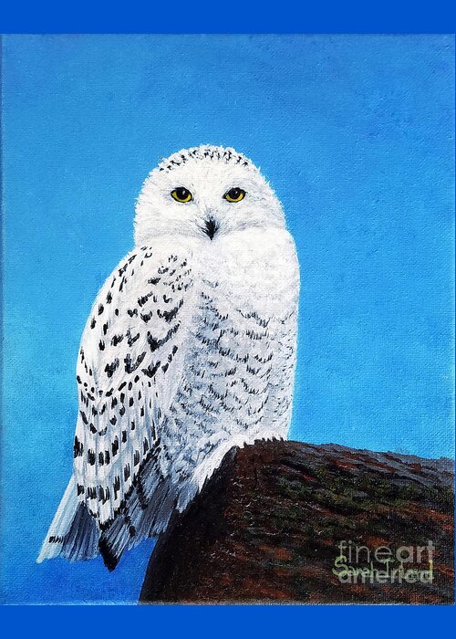 A Greeting Card featuring the painting A Snowy Owl for Magnus by Sarah Irland