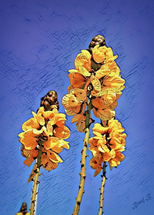 Yellow Flowers Greeting Card featuring the photograph A Study in Yellow and Blue by Bearj B Photo Art