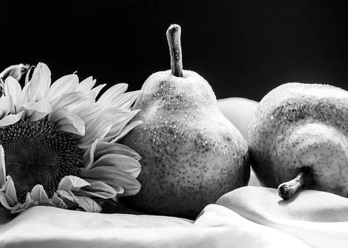 Still Life Greeting Card featuring the photograph A Sunflower and Pears in Black and White by Maggie Terlecki