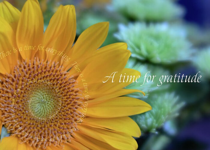 Photography Greeting Card featuring the digital art A Time for Gratitude by Terry Davis