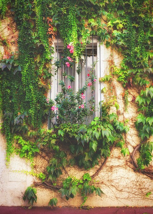 Window Greeting Card featuring the photograph A Window in Le Suquet Cannes by Lauri Novak