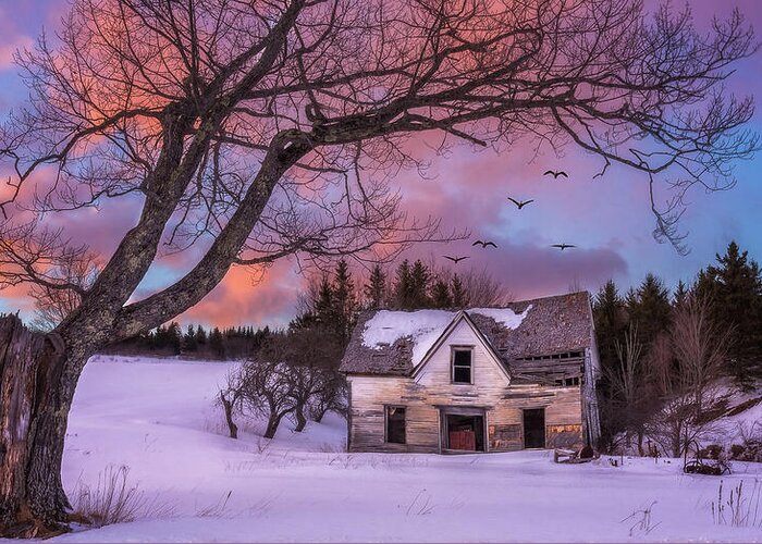 Bay Of Fundy Greeting Card featuring the photograph Abandoned Homestead by Tracy Munson