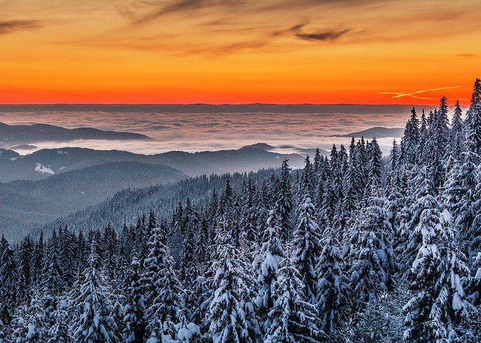 Bulgaria Greeting Card featuring the photograph Above Ocean Of Clouds by Evgeni Dinev