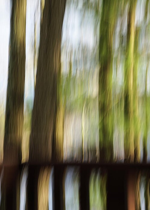 Blurry Trees Greeting Card featuring the photograph Abstract Trees by Tana Reiff