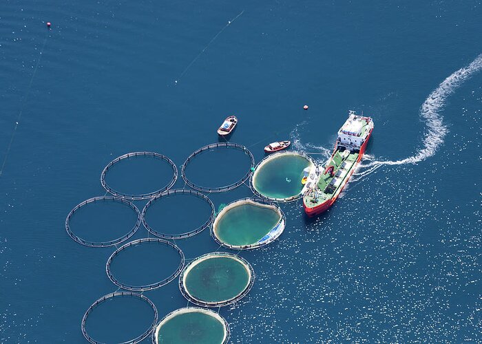 Water's Edge Greeting Card featuring the photograph Aerial View Of Fish Farm by Gece33