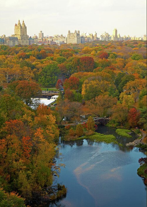 Scenics Greeting Card featuring the photograph Aerial View Of Urban Park, New York by Mike Tauber