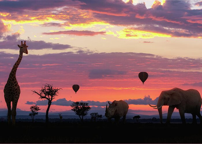 African Greeting Card featuring the photograph African Safari Colorful Sunrise With Animals by Good Focused