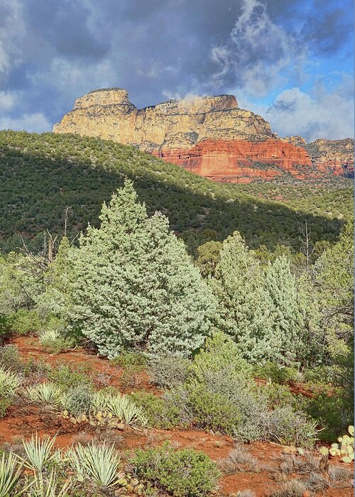 Sedona Greeting Card featuring the photograph After a Storm by Theo O'Connor