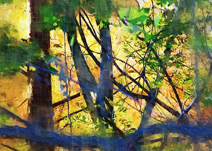 Trees Greeting Card featuring the mixed media Afternoon in the Woods by Christopher Reed