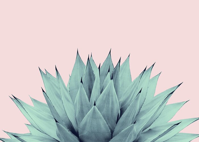 Photography Greeting Card featuring the mixed media Agave Blush Summer Vibes #1 #tropical #decor #art by Anitas and Bellas Art