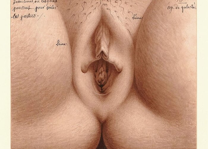 Lequeu Greeting Card featuring the painting Age of Puberty, Vagina by Jean-Jacques Lequeu