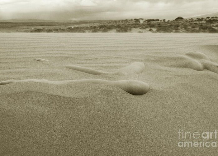 Sand Dunes Greeting Card featuring the photograph Almost There by Robert WK Clark