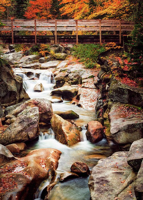 Amazing New England Artworks Greeting Card featuring the photograph Ammonoosuc River, Autumn by Jeff Sinon
