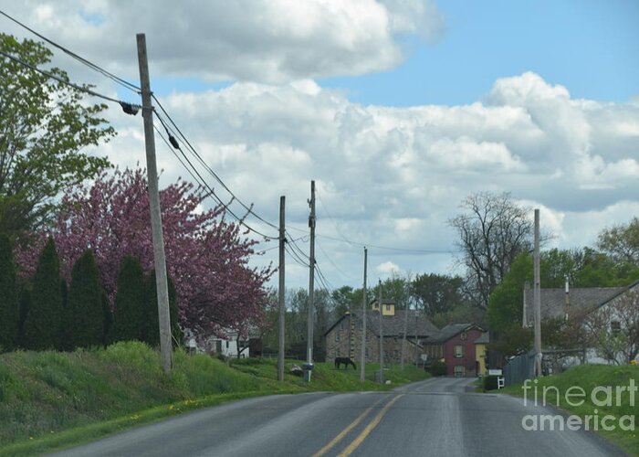Amish Greeting Card featuring the photograph An Amish Spring Drive by Christine Clark