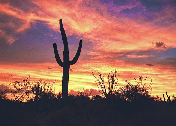 Arizona Greeting Card featuring the photograph An Arizona Sunset by Chance Kafka
