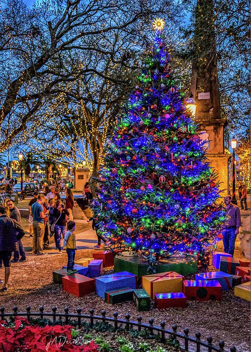 St Augustine Greeting Card featuring the photograph Ancient City Christmas Tree by Joseph Desiderio