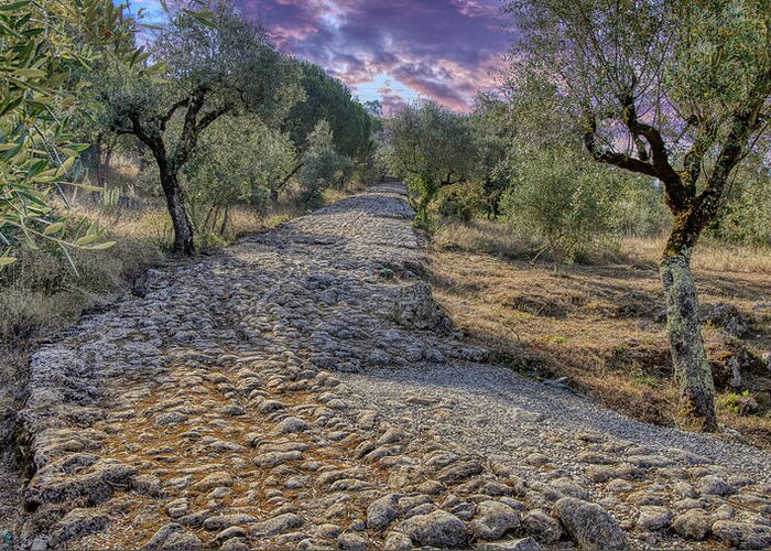 Estrada Romana Greeting Card featuring the photograph Ancient Roman Road by Micah Offman
