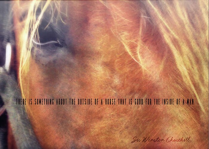 About Greeting Card featuring the photograph ANDALUSIAN EYE quote by Dressage Design