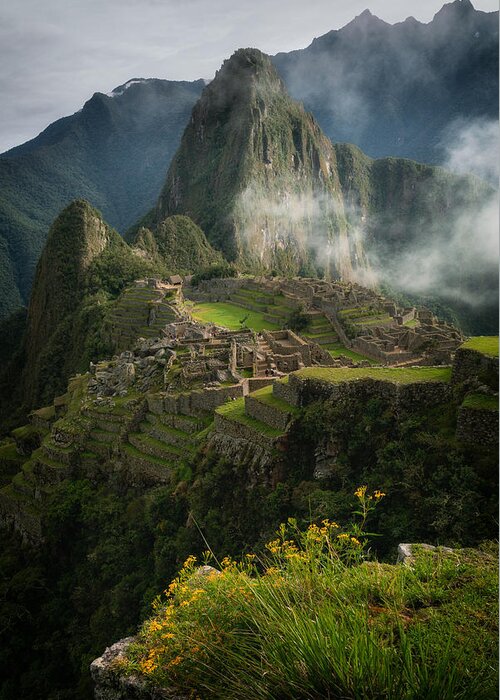 Machupicchu Greeting Card featuring the photograph Andean Garden by James K. Papp