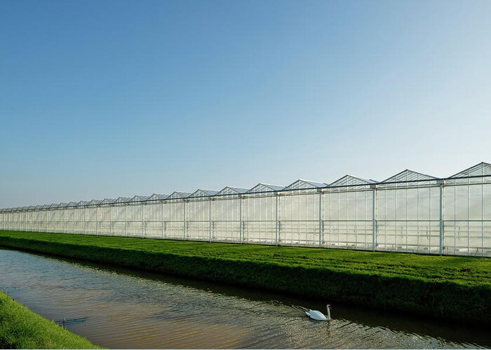 Angled View Greeting Card featuring the digital art Angled View Of Canal And Row Of Greenhouses by Mischa Keijser
