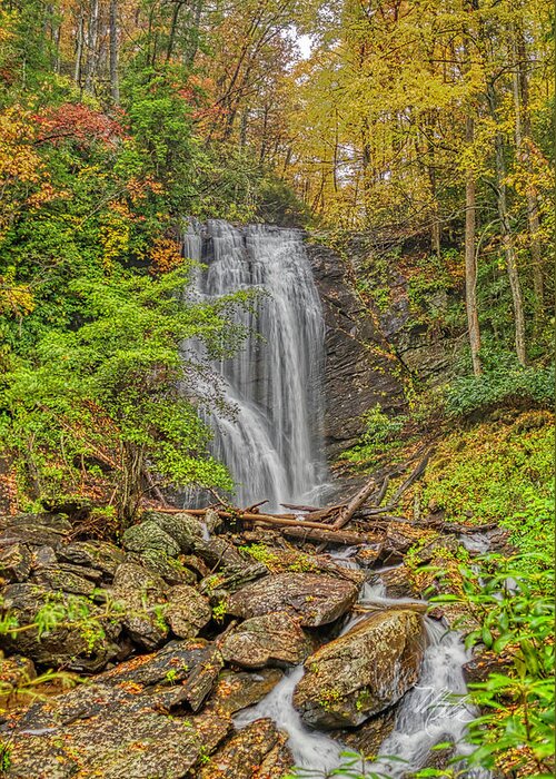 Anna Ruby Falls Greeting Card featuring the photograph Anna Ruby Falls Left by Meta Gatschenberger