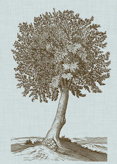 Botanical Greeting Card featuring the painting Antique Tree In Sepia I by Vision Studio