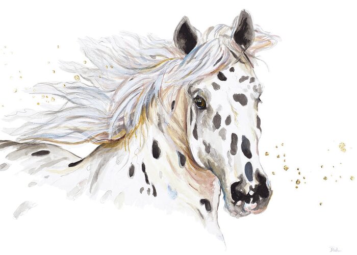 Appaloosa Greeting Card featuring the painting Appaloosa by Patricia Pinto