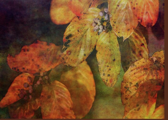 Impressionist Greeting Card featuring the photograph Approaching Amber 5717 IDP_2 by Steven Ward