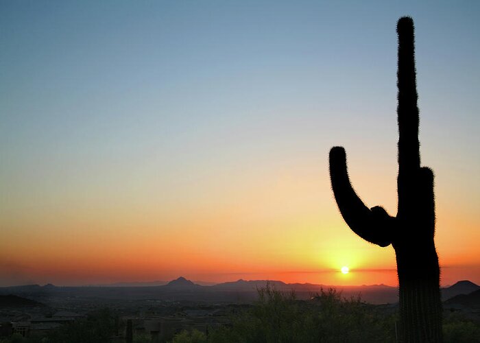 Saguaro Cactus Greeting Card featuring the photograph Arizona Cactus At Sunset by Vlynder