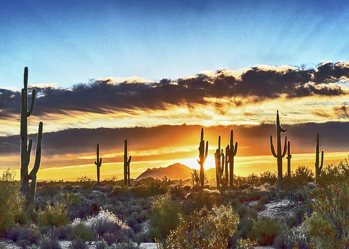 Arizona Greeting Card featuring the photograph Arizona Sunrise And Saguaro by Don Schimmel