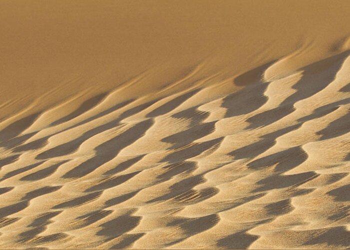 Panoramic Greeting Card featuring the photograph Artistic Sand Dune by Werner Van Steen
