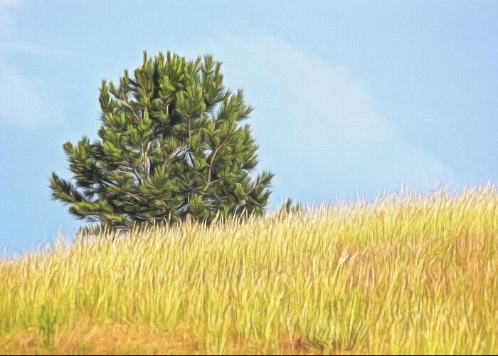 2018 June Greeting Card featuring the photograph Hillside Sentinel by Bill Kesler