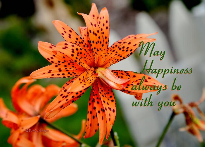 Tiger Lily Greeting Card featuring the photograph Asian Tiger Lily with Cheery Thought by Kae Cheatham
