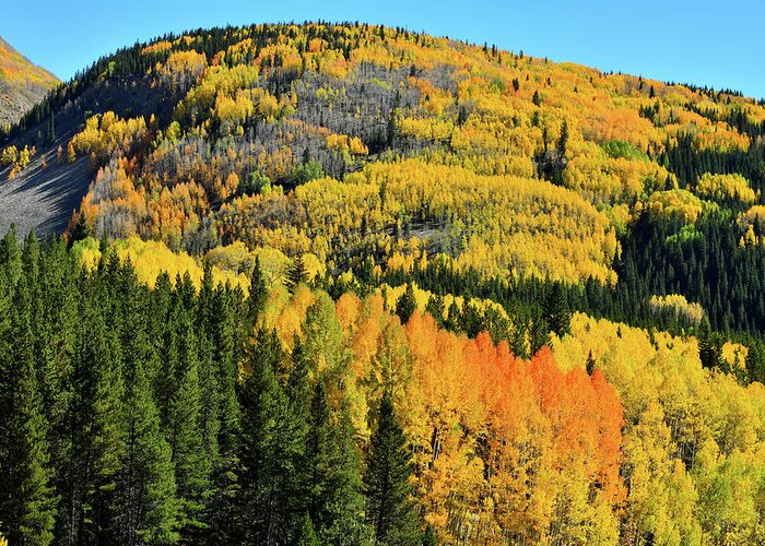 Cclorado Greeting Card featuring the photograph Aspen Covered Hillsides en Route to Durango by Ray Mathis