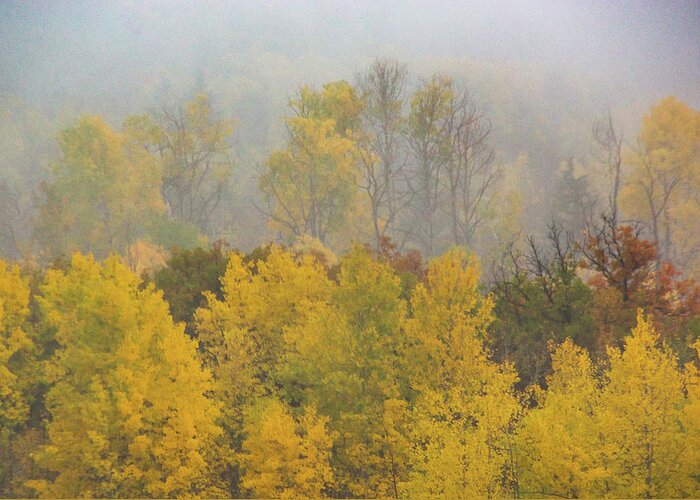America Greeting Card featuring the photograph Aspen Trees In Fog by John De Bord
