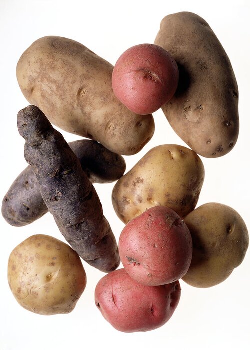 White Background Greeting Card featuring the photograph Assortment Of Potatoes by Brian Hagiwara