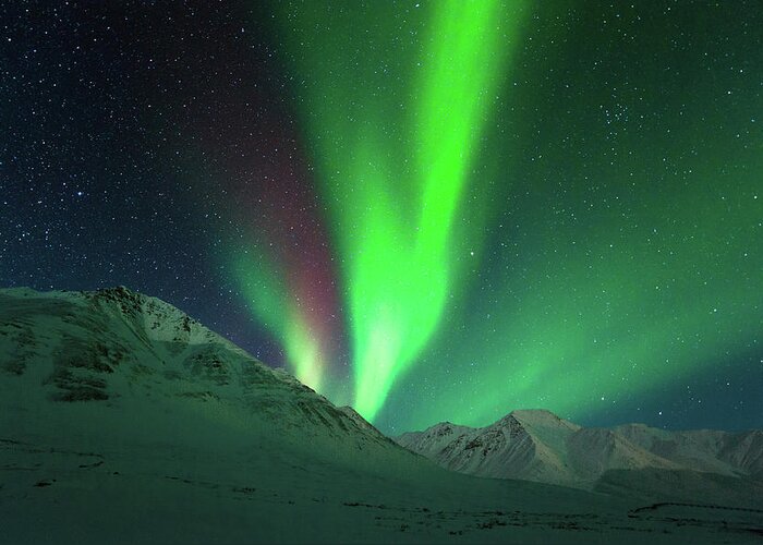 Interior Alaska Greeting Card featuring the photograph Aurora Above Alaska by Noppawat Tom Charoensinphon