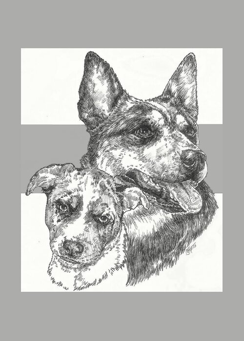 Herding Group Greeting Card featuring the drawing Australian Cattle Dog and Pup by Barbara Keith