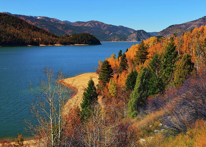 Palisades Reservoir Greeting Card featuring the photograph Autumn Along the Palisades by Greg Norrell