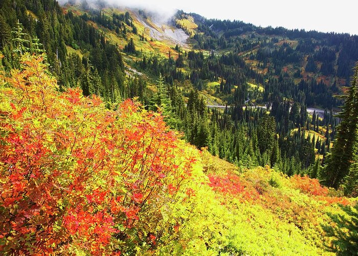 Scenics Greeting Card featuring the photograph Autumn Colours On Mount Rainier, In Mt by Craig Tuttle / Design Pics