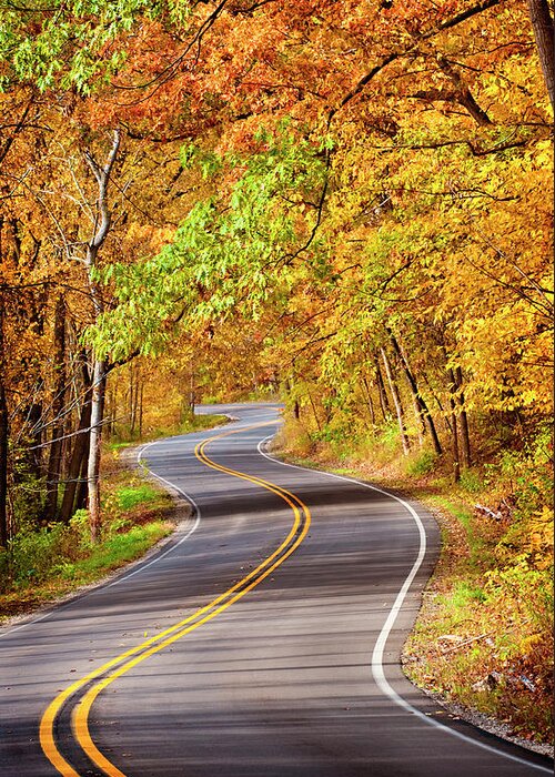 Autumn Greeting Card featuring the photograph Autumn Country Road by Jill Love
