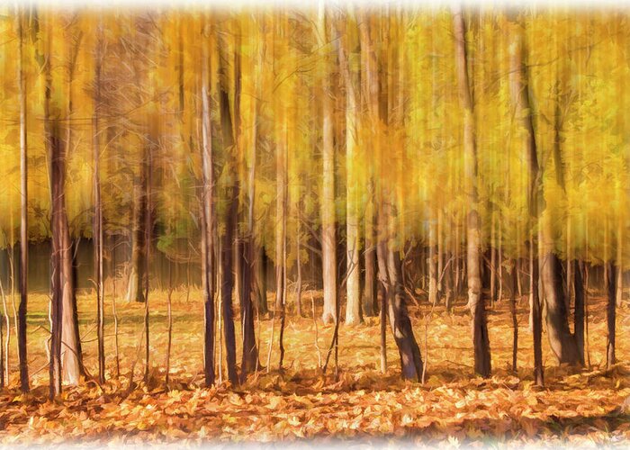 Trees Greeting Card featuring the photograph Autumn Dreaming by Cathy Kovarik