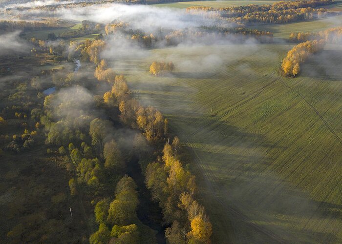 Drone Greeting Card featuring the photograph Autumn Fogs by Dmitry Doronin