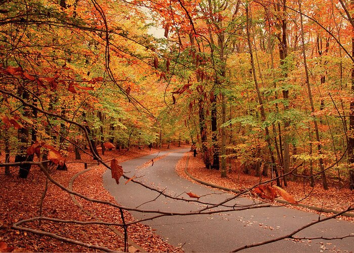 Autumn Greeting Card featuring the photograph Autumn In Holmdel Park by Angie Tirado