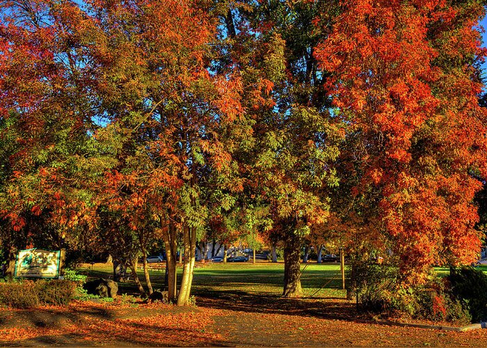 Autumn In Reaney Park Greeting Card featuring the photograph Autumn in Reaney Park by David Patterson