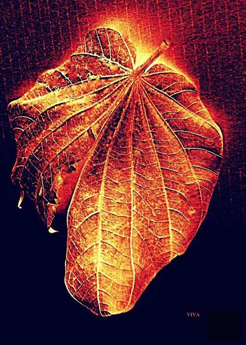 Autumn Greeting Card featuring the photograph Autumn Leaf Aglow by VIVA Anderson