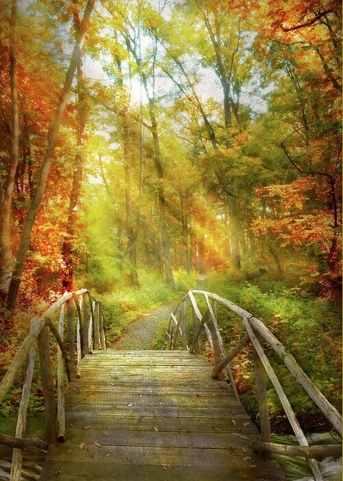 Brook Greeting Card featuring the photograph Autumn - Nice day for a walk by Mike Savad