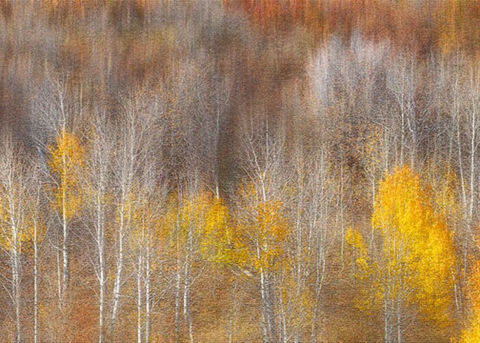 Autumn Greeting Card featuring the photograph Autumn Painting by Mei Xu