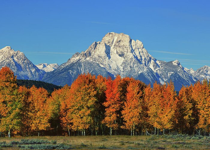 Mount Moran Greeting Card featuring the photograph Autumn Peak Under Moran by Greg Norrell
